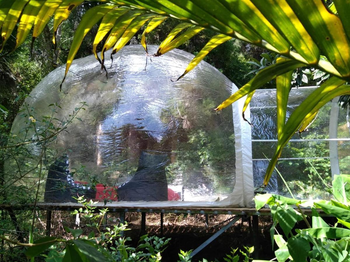 מלון סילאוס Dans Ma Bulle By C Cibeaulaos מראה חיצוני תמונה